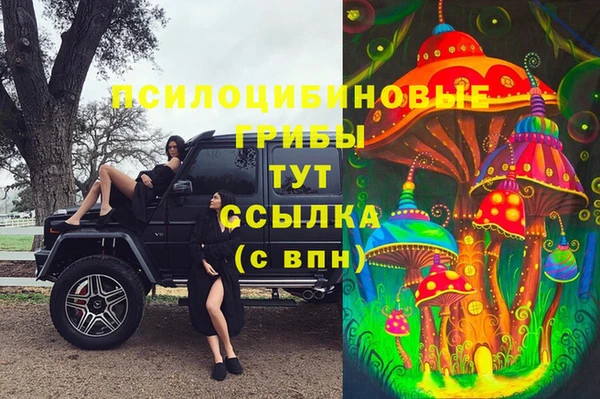 МДПВ Верея