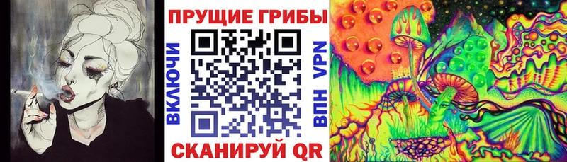 Галлюциногенные грибы ЛСД  Мезень 